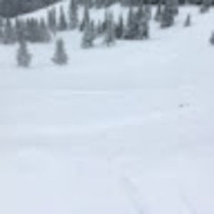 Meet your Posher, Fred